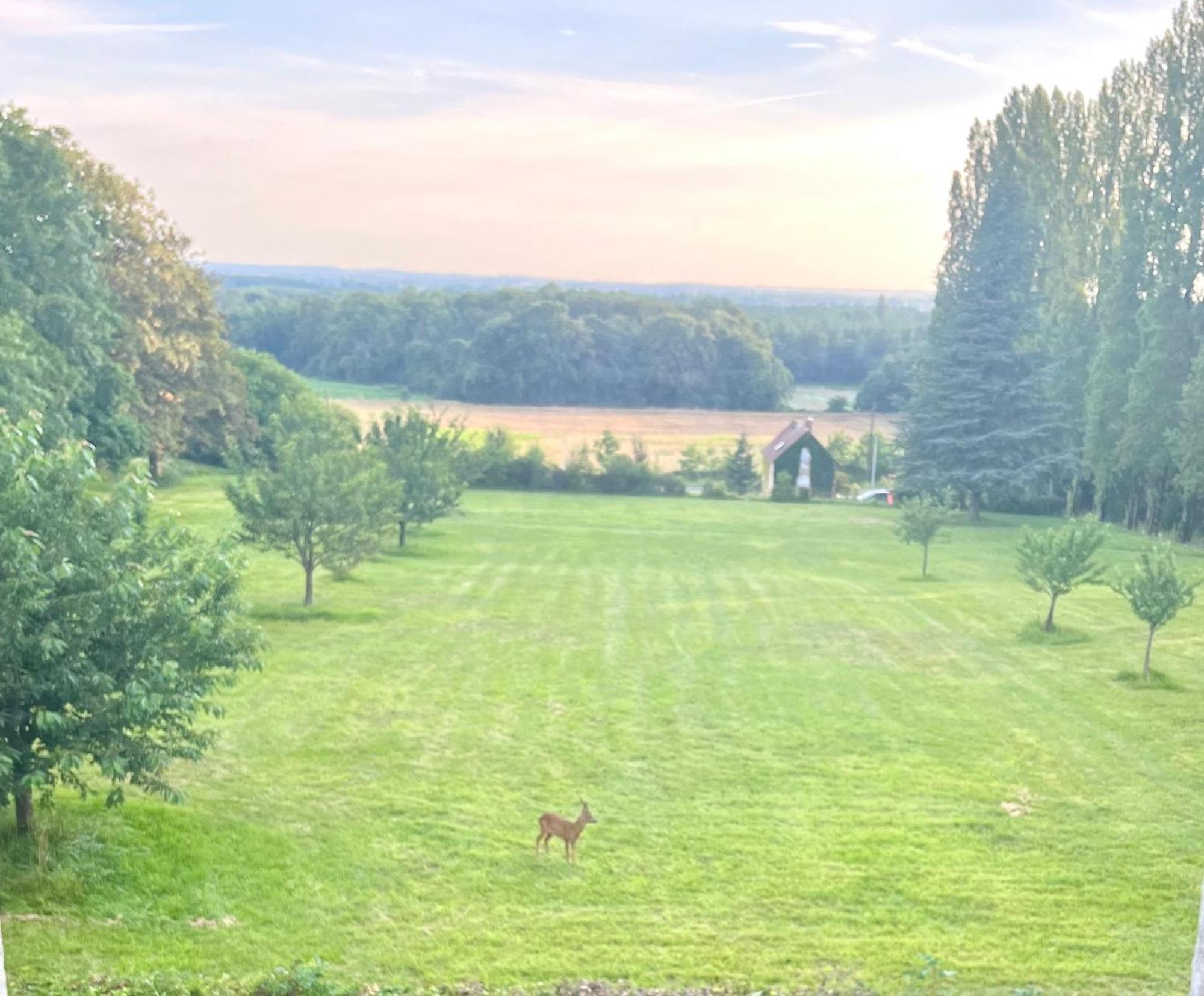 Chateau La Chevalerie - 24H Du Mans Parigné-le-Pôlin Zewnętrze zdjęcie